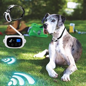 wireless dog leash